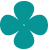 Teal four-petal flower on black background.